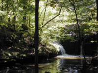 Photo of waterfall in area.
